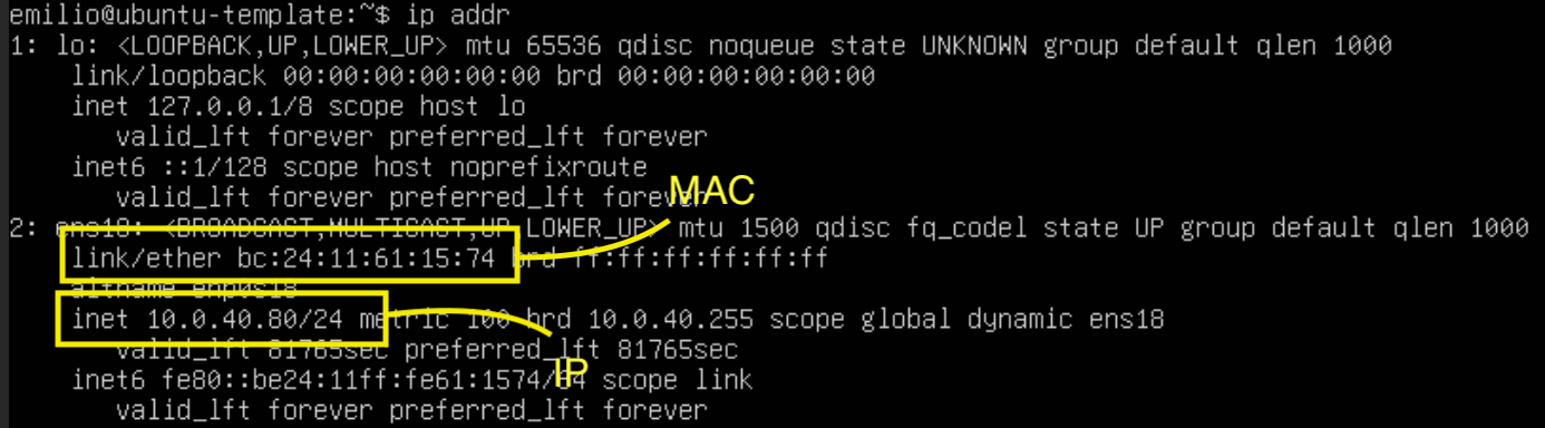 Clone IP & MAC address