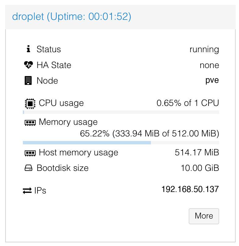 Droplet IP in the Proxmox UI