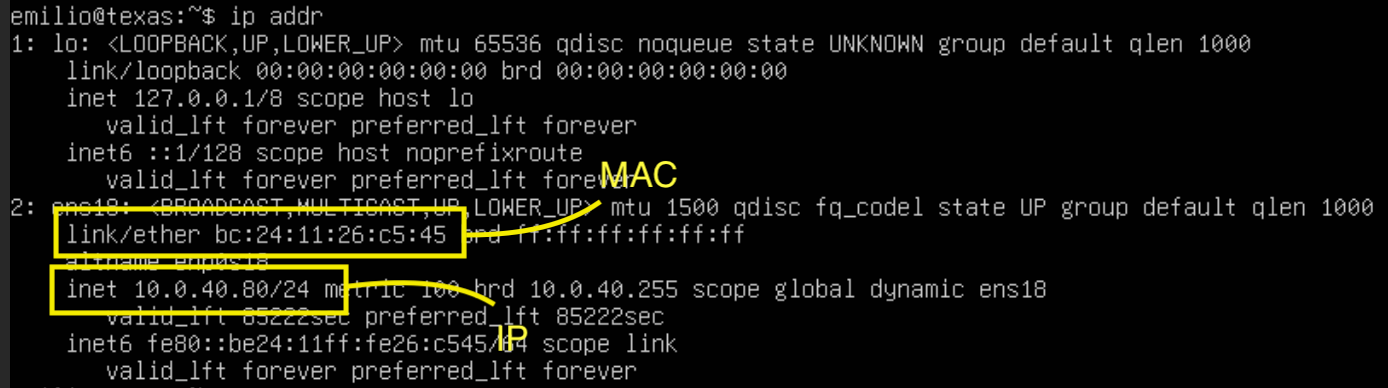 Template IP & MAC address